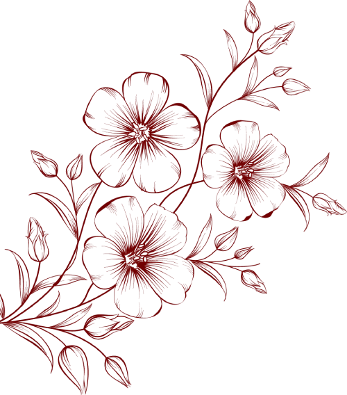 Hoa cưới